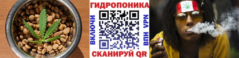 Печенье с ТГК марихуана Шиханы