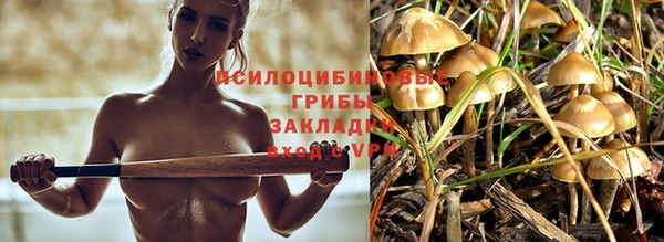 альфа пвп Сосновоборск