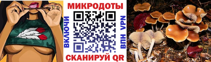 Псилоцибиновые грибы ЛСД  Купить где  Шиханы 